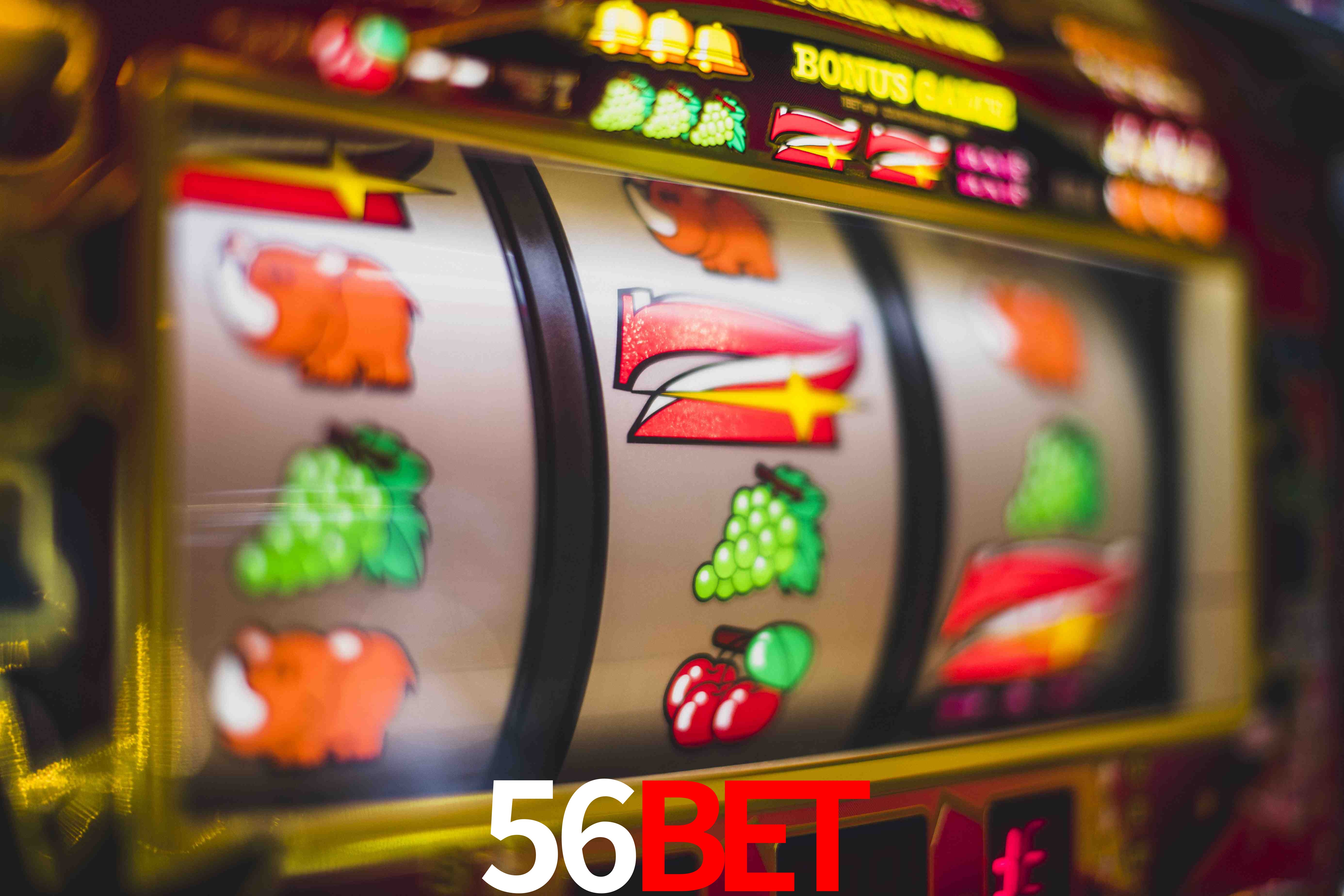 Crash Games Statistics 56bet