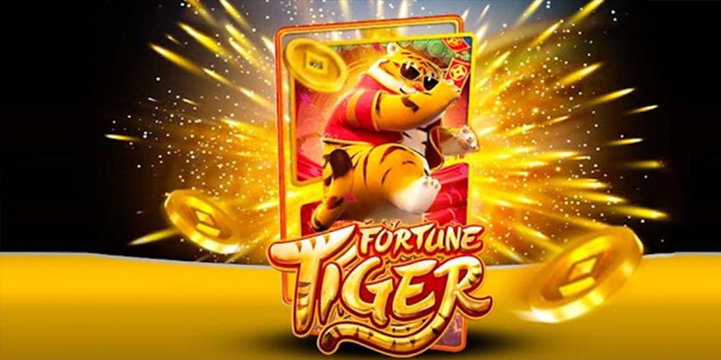Quem é o Fortune Tiger 56bet.Com